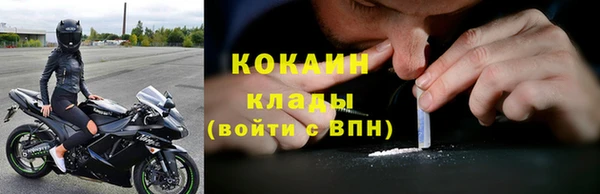 ПСИЛОЦИБИНОВЫЕ ГРИБЫ Алзамай