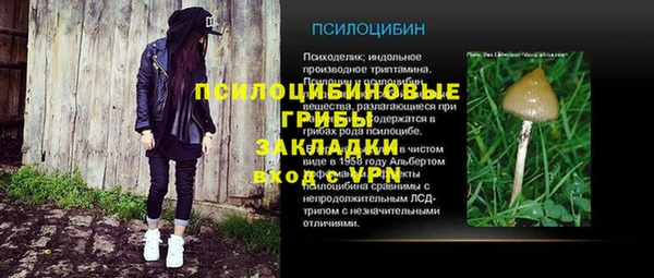 твердый Алексин