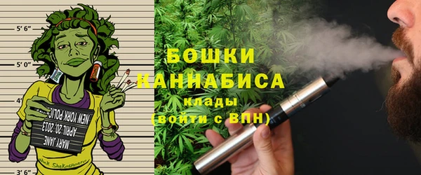 ПСИЛОЦИБИНОВЫЕ ГРИБЫ Алзамай