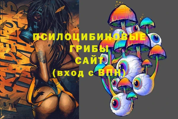 винт Абаза