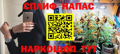 сатива Красноармейск