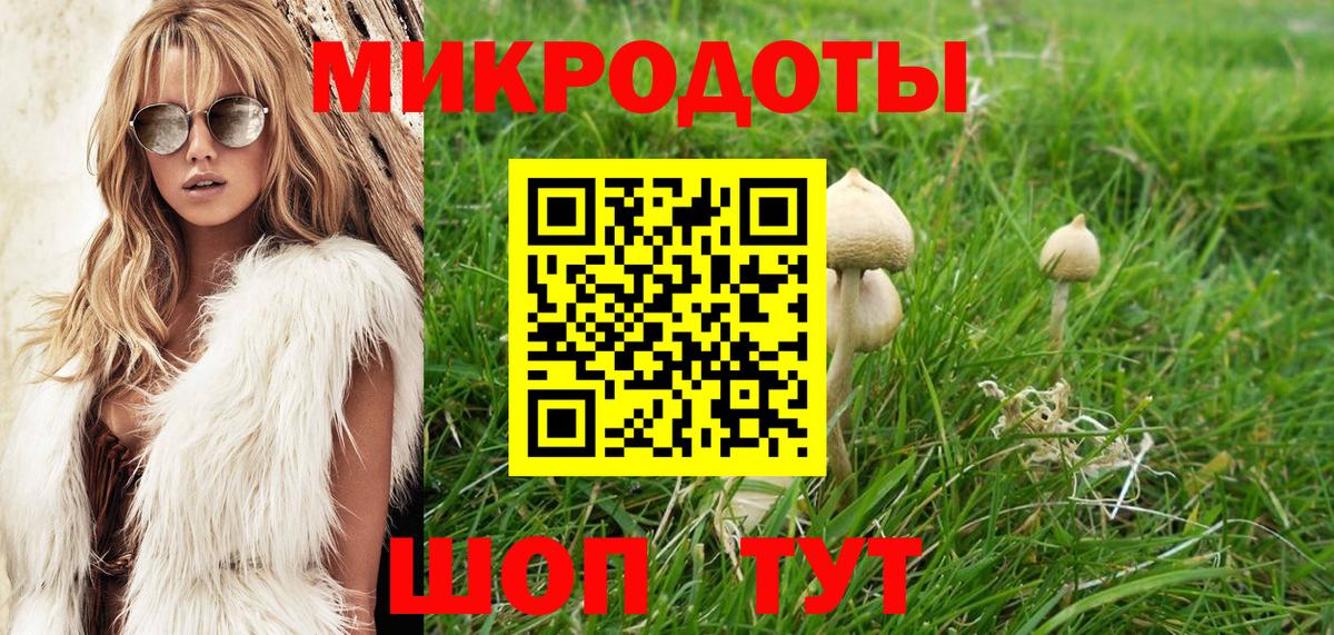 Брянск  Псилоцибиновые грибы Magic Shrooms  Вход с VPN 